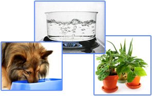 Purosmart Faucet Mount and Countertop RO System Uses